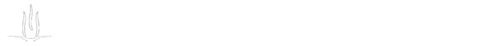 bestattungen merten - solingen